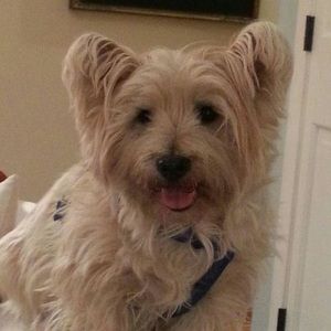 Meet your Posher, Debbie